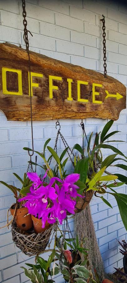 Cardwell Beachfront Motel 외부 사진